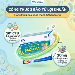 Bổ sung lợi khuẩn đường tiêu hóa Men sống Bạch Mai (20 ống) 3