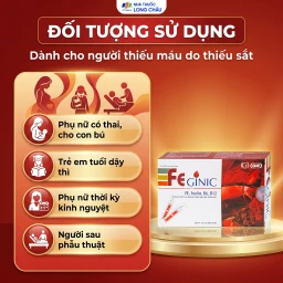 Dung dịch Feginic bổ sung sắt cho người thiếu máu do thiếu sắt (4 vỉ x 5 ống x 5ml) 4