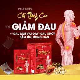 Cao dán giảm đau Chỉ Thống Cao (20 gói) giúp giảm đau cổ, đau mỏi vai gáy, đau lưng 
