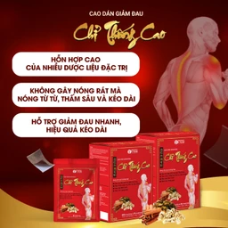 Cao dán giảm đau Chỉ Thống Cao (20 gói) giúp giảm đau cổ, đau mỏi vai gáy, đau lưng 