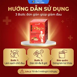 Cao dán giảm đau Chỉ Thống Cao giúp giảm đau cổ, đau mỏi vai gáy, đau lưng (20 gói) 5