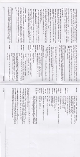 Nhiệt kế hồng ngoại đo trán Microlife NC200