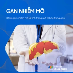 Gan nhiễm mỡ là hiện tượng có quá nhiều chất béo tích tụ trong gan