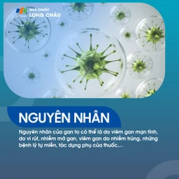 Nguyên nhân gan to - Các yếu tố gây phì đại gan và biện pháp phòng ngừa