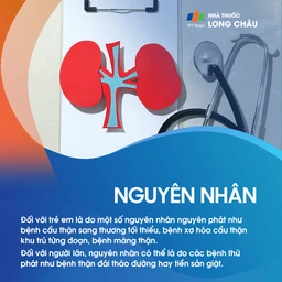 Nguyên nhân hội chứng thận hư - Các yếu tố gây tổn thương thận
