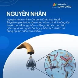 Lỵ trực trùng 3