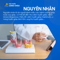 Do rối loạn tuyến giáp như viêm, thiếu iốt, Basedow, Hashimoto, u hoặc ung thư tuyến giáp