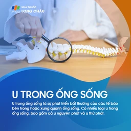 U Trong Ống Sống 1