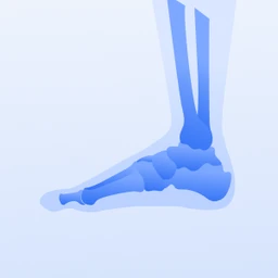 Cơ - Xương - Khớp