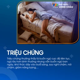 Chứng ngủ nhiều nguyên phát 2