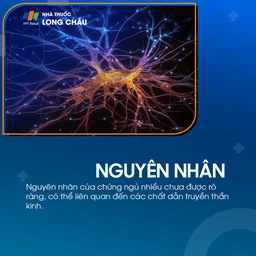 Chứng ngủ nhiều nguyên phát 3