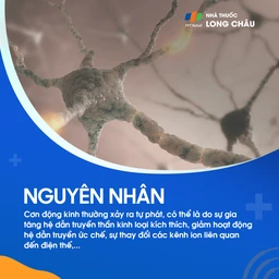 Cơn động kinh vắng ý thức 3