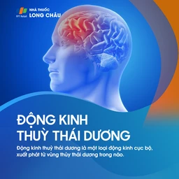 Động kinh thùy thái dương 1
