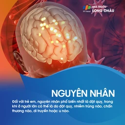 Liệt nửa người 3