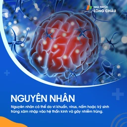 Nhiễm trùng thần kinh 3