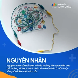 Rối loạn khí sắc 3