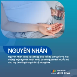 Sứt môi và hở hàm ếch 3