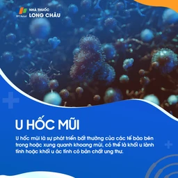 U hốc mũi 1