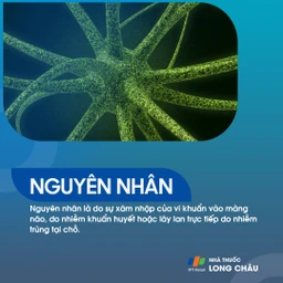 Viêm màng não mủ 4