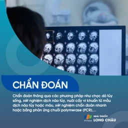 Viêm màng não mủ 6