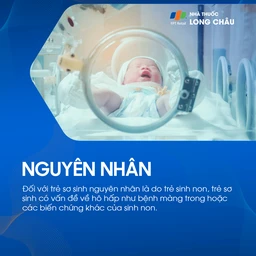 Xuất huyết não thất 5