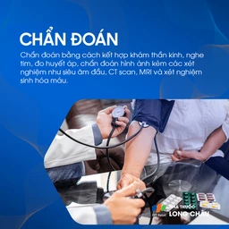 Xuất huyết não thất 7