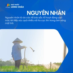 Nguyên nhân gây đồi mồi bao gồm tiếp xúc lâu dài với ánh nắng mặt trời, thay đổi hormone và yếu tố di truyền