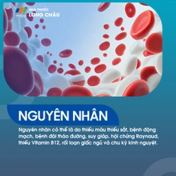 Nguyên nhân dẫn đến chân tay lạnh, bao gồm rối loạn tuần hoàn, thiếu máu và các vấn đề về nội tiết