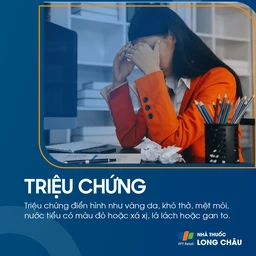 Vàng da tán huyết 2