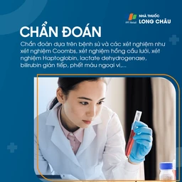 Vàng da tán huyết 5