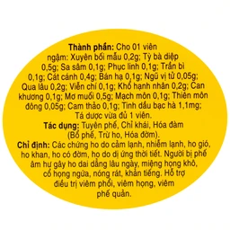 Viên ngậm ho bổ phế Bảo Thanh không đường dùng giảm các chứng ho do cảm lạnh, nhiễm lạnh (20 vỉ x 5 viên)
