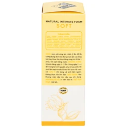 Dung dịch vệ sinh phụ nữ dạng bọt Daily Lady Soft giúp làm sạch, dưỡng ẩm, mềm mịn (100ml)