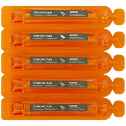 Thuốc Pidoncam 1200mg/5ml Hà Nam điều trị triệu chứng chóng mặt, suy giảm trí nhớ (20 ống x 10ml)