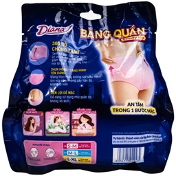 Băng vệ sinh dạng quần Diana Beauty Hip size L-XL - Gói 2 cái (vòng hông 90cm - 115cm)