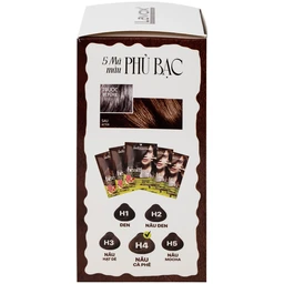 Gội phủ bạc Healthy&Lively Color Shampoo Lavox H4 màu nâu cà phê (10 gói x 30ml)