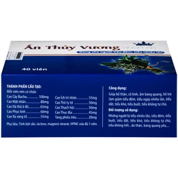 Viên uống giúp bổ thận, giảm tiêu đêm tiểu ngày nhiều lần Ấn Thủy Vương Kingphar (4 vỉ x 10 viên)