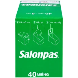 Thuốc Salonpas 6.5cm x 4.2cm Hisamitsu hỗ trợ giảm đau, kháng viêm (5 hộp x 4 gói)