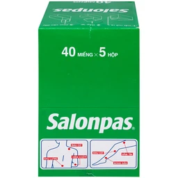 Thuốc Salonpas 6.5cm x 4.2cm Hisamitsu hỗ trợ giảm đau, kháng viêm (5 hộp x 4 gói)