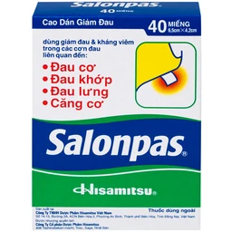 Thuốc Salonpas 6.5cm x 4.2cm Hisamitsu hỗ trợ giảm đau, kháng viêm (5 hộp x 4 gói)
