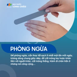 Loạn dưỡng món 7 