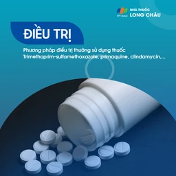 Viêm phổi Pneumocystis jirovecii 6