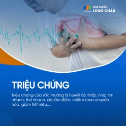 triệu chứng chung của sốc, bao gồm suy giảm ý thức và hạ huyết áp