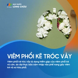 Viêm phổi kẽ tróc vảy 1