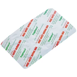 Thuốc Hoạt Huyết Dưỡng Não bao phim Traphaco điều trị suy giảm trí nhớ, căng thẳng thần kinh (5 vỉ x 20 viên)