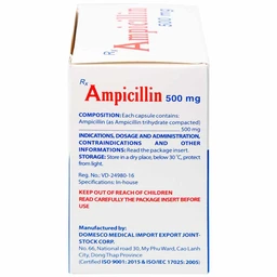 Thuốc Ampicillin 500mg Domesco điều trị nhiễm khuẩn (10 vỉ x 10 viên)