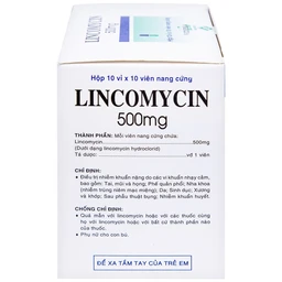 Thuốc Lincomycin 500mg Vidipha điều trị nhiễm khuẩn tai mũi họng, phế quản, phổi (10 vỉ x 10 viên)