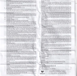 Viên nén Lipistad 10 Stella điều trị tăng cholesterol máu (3 vỉ x 10 viên)