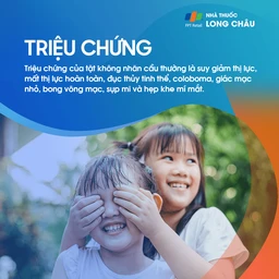 Tật không nhãn cầu 2