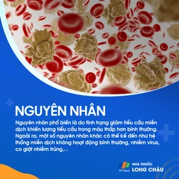 Giảm tiểu cầu miễn dịch 3