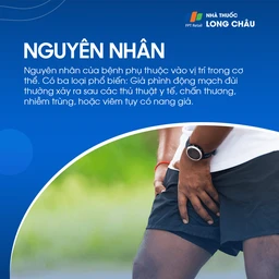 Giả phình mạch 4